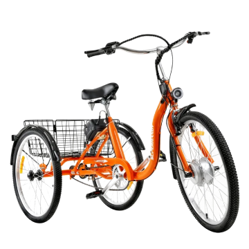 EcoRide Electric Tricycle + Bike